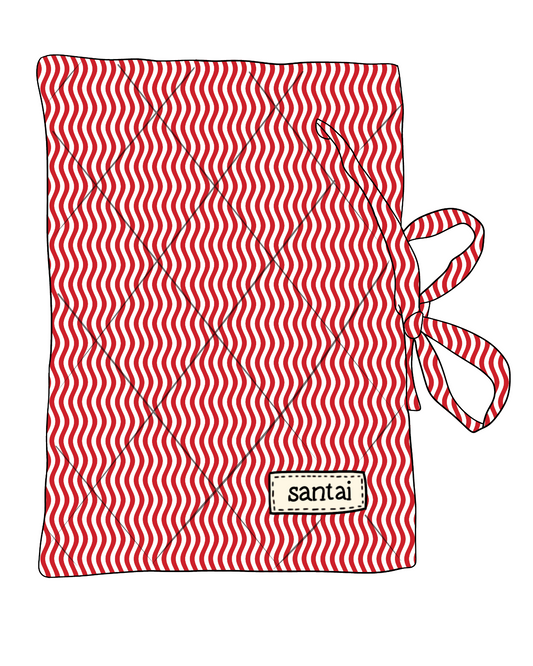 Candy Cane Book Sleeve