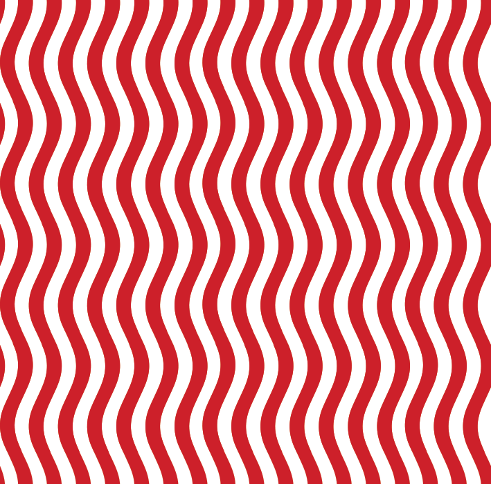 Large Christmas Gift Box (Limited Edition)